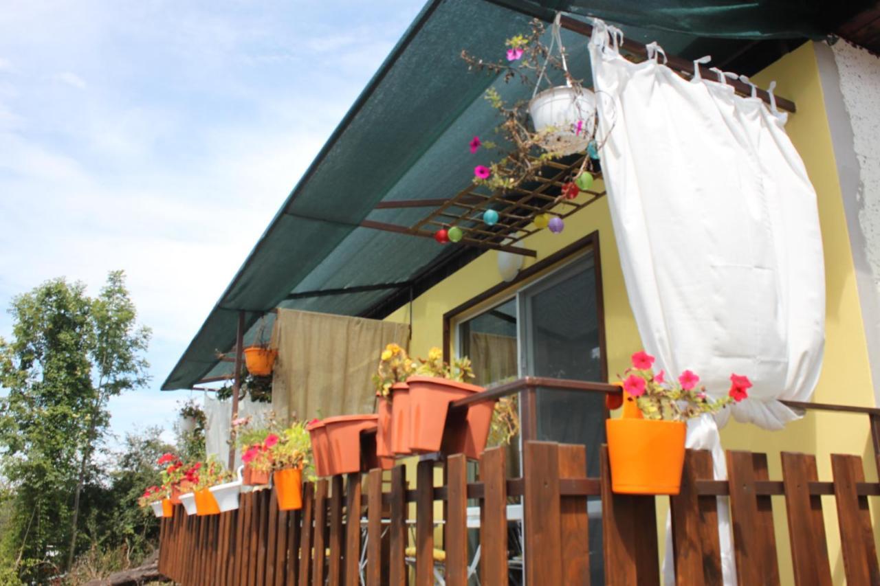Daskalov Bungalows Chervena Lokva 외부 사진